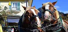 Parking schloss Neuschwannstein parking schloss neuschwanstein